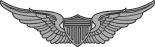 Aviator.gif (2649 bytes)